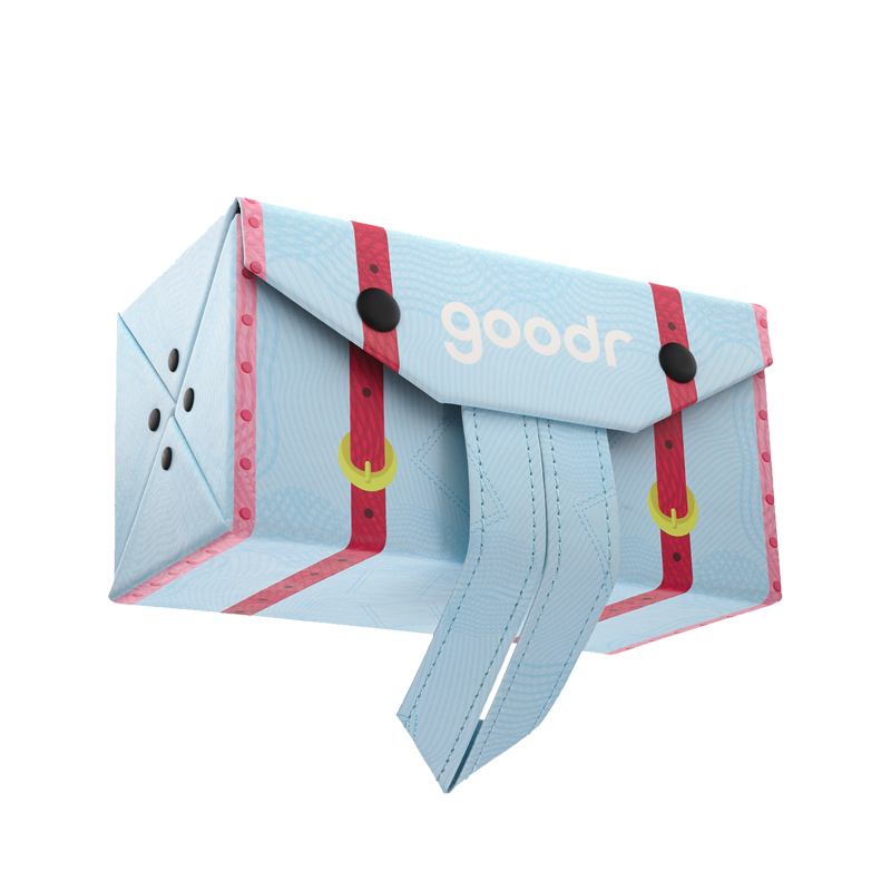 goodr Standard Hard Case - World Traveller Multi-Case Global