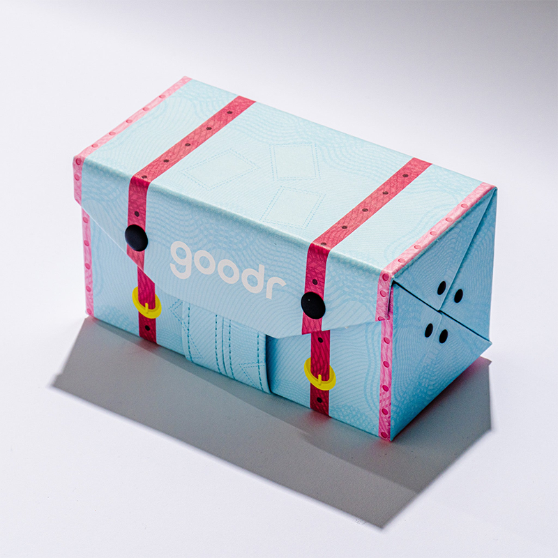 goodr Standard Hard Case - World Traveller Multi-Case Global